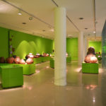 Museo de Ciencias Naturales y Antropología  «Emilio y Duncan Wagner»